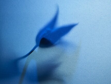 Eine blaue Blume im Dunst