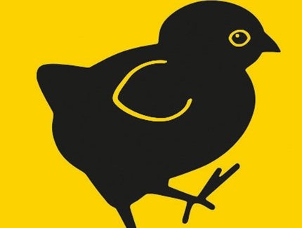 VISUAL samt & sonders