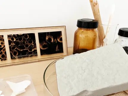 Cellulose: Von Nano bis Makro