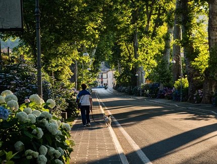 Grüner Weg