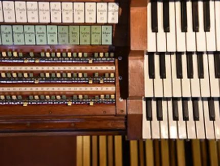 Detail große Sauer-Orgel, Foto: Maren Glockner