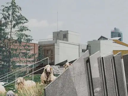 Carl Wolff, Das Kulturforum als Landschaft