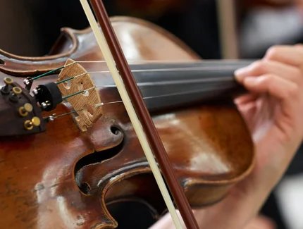 Kammerorchester Neue Philharmonie Hamburg