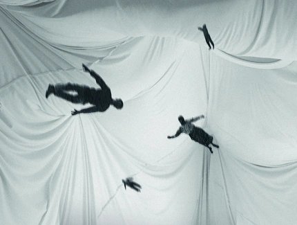 Nachtfalter Nachtfalter