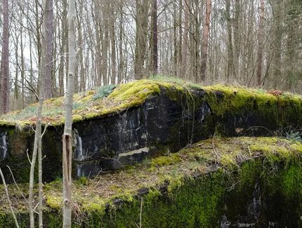 Veranstaltungen in Berlin: Zur Konzeption und Gestaltung der kommenden Ausstellung „Natur und deutsche Geschichte“