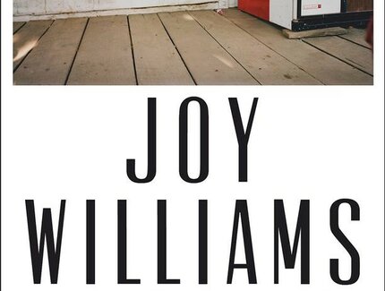 BUCHCOVER von Joy Williams: Stories