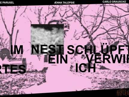 Im Nest schlüpft