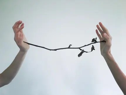 Everyone is a bit of a horse
