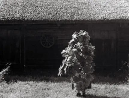 Steine, die atmen, Wind, der singt