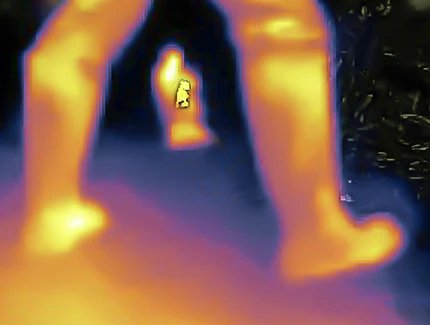 A snake is looking at us, 2024