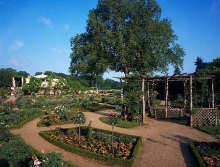 Park Sanssouci, Schloss Charlottenhof, Blick in Rosengarten mit Schinkel-Laube