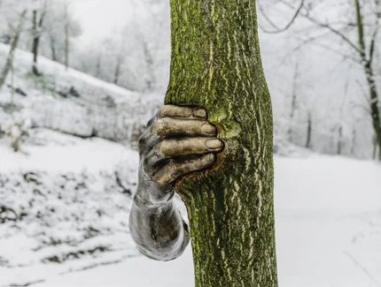 Giuseppe Penone, "Toccare il tempo (To Touch the Time)", 2004-2008