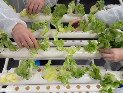 Veranstaltungen in Berlin: Dragana Bulut: Remake