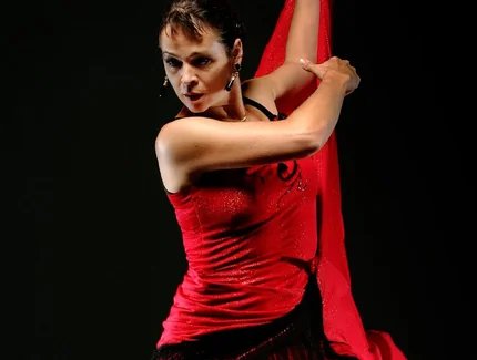 Flamenco Vivo