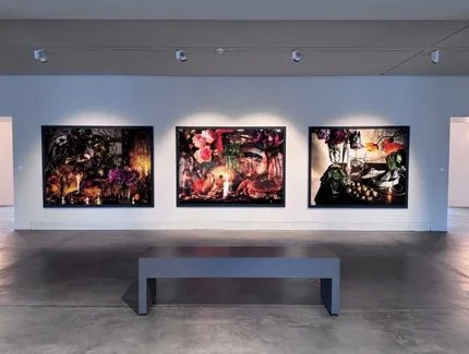 Vera Mercer "Life in Focus" / Werkschau