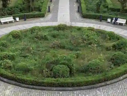 Veranstaltungen in Berlin: Samenbomben bauen