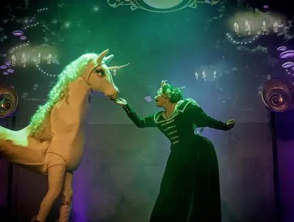 Frack & Spitzenhöschen