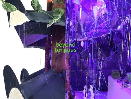 beyond tongues