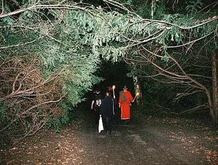 Keltische Mythologie bei Nacht