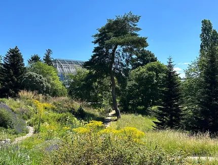 Botanischer Garten Berlin