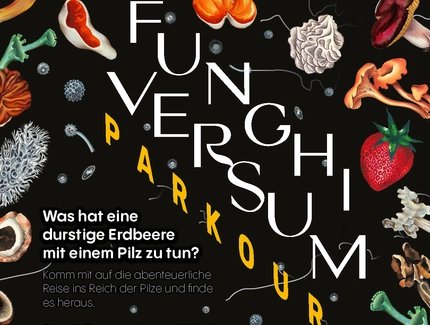 Funghiversum parkour, Flyer