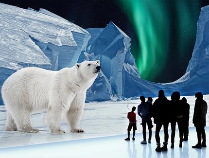 Polar Experience