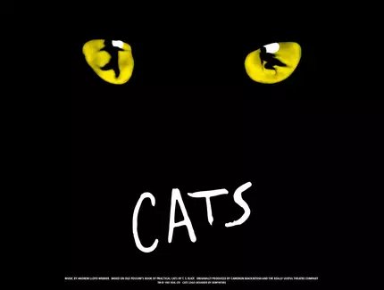 CATS - Keyvisual