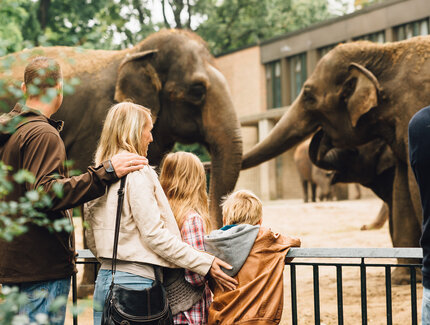 Eine Familie besucht den Zoo Berlin