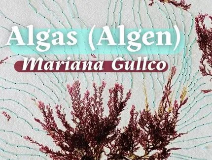 Algas