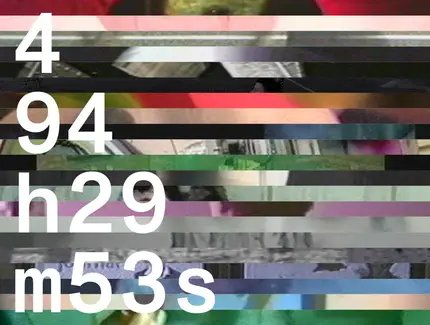 Karin Sander: 494h29m53s