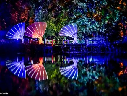 Britzer Gartennacht