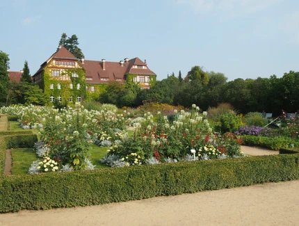 Botanischer Garten