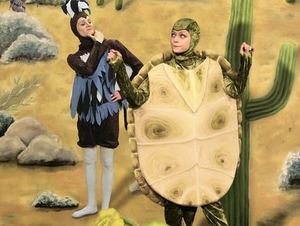 POSTER Die Schildkröte und der Wunschfelsen
