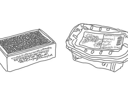 Titelmotiv der Ausstellung Grains of Memory – Kernfragen.