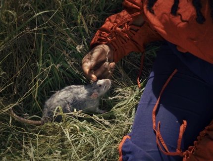 VISUAL Workshop: Queer Trash Ecologies - Feeling, Film, and Collective Imagination with Elisa Mohr