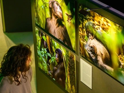 Blick in die Ausstellung