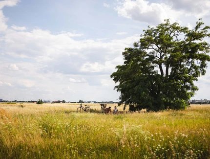 Tempelhofer Feld