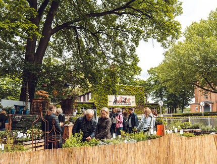 Gartenträume auf der Rennbahn Hoppegarten
