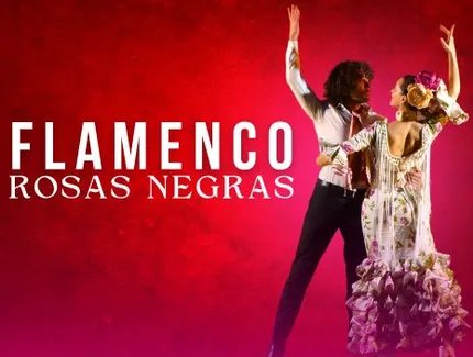 FLAMENCO • Philharmonie • 20. Juni