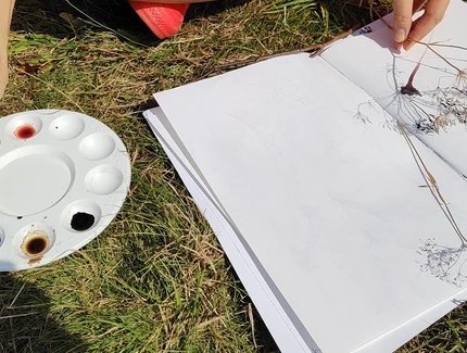 Veranstaltungen in Berlin: Nature Drawing - mit Papier und Stift in den Park