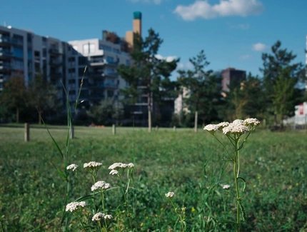 Blumen im Park am Gleisdreieck