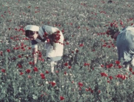 VISUAL INTERFILM 41: Case Study: How to reclaim the Colonial Film Archive with Theo Panagopoulos