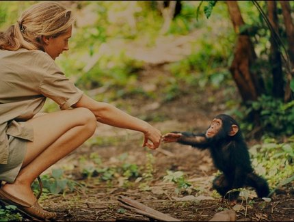 FILMSTILL Jane Goodall