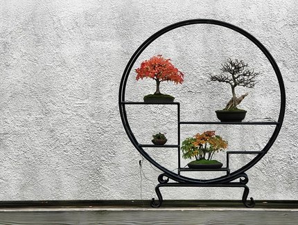 Bonsai