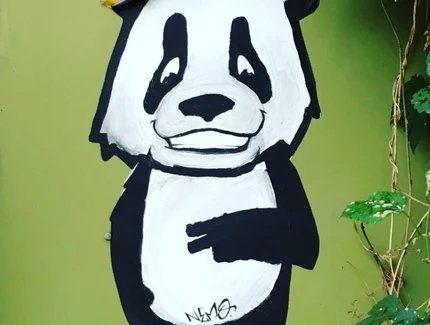Symbolbild Streetart Panda