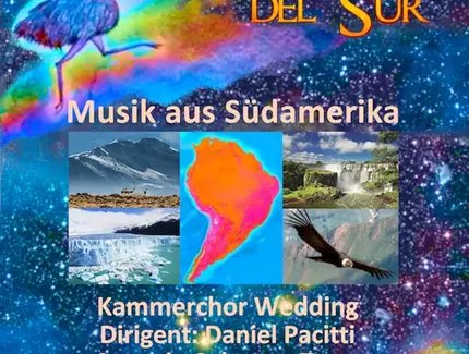 POSTER La Cruz del Sur