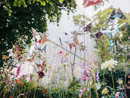 Björn Kroner-Salié: Blumen, Glanz und Tafelfreuden