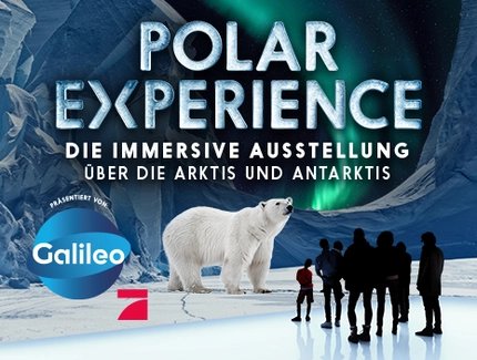 Polar Experience