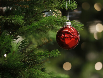 Weihnachtsbaum mit roter Kugel