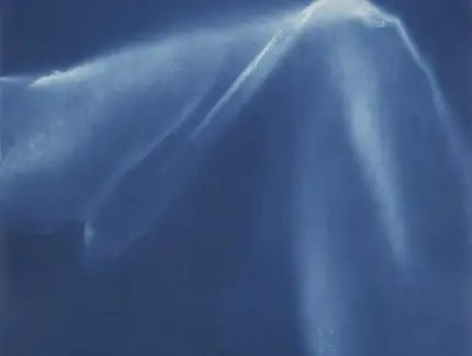 Veranstaltungen in Berlin: Führung durch die Ausstellung LUMEN